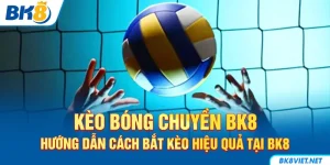 Kèo bóng chuyển