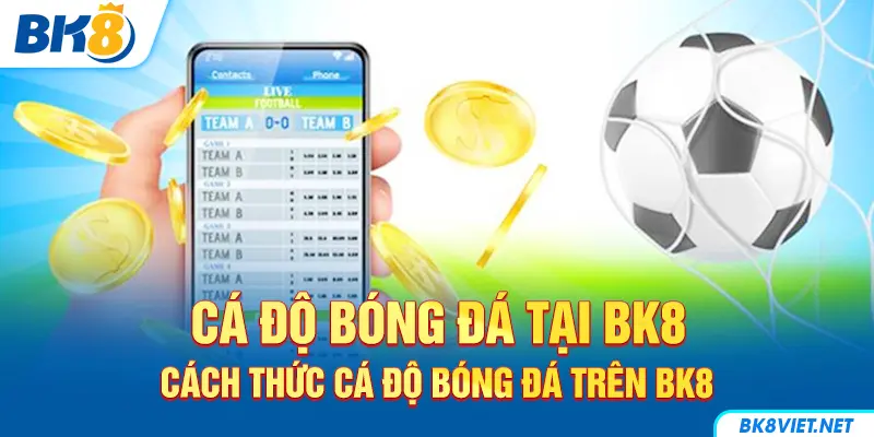 Hướng dẫn cách thức cá độ bóng đá trên BK8