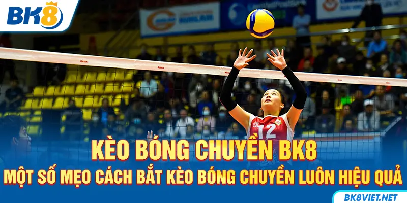 Kinh nghiệm bắt kèo bóng chuyền thắng lớn
