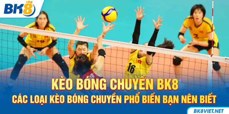 Một số loại kèo bóng chuyền phổ biến hiện nay